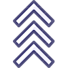 Level icon
