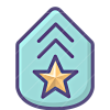 Rank icon