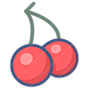 Food24 icon