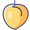 Food25 icon