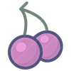 Fruit icon