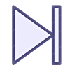 Next icon