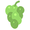Grape icon