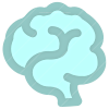Brain icon