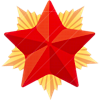 Badge icon