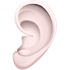 Ear.png