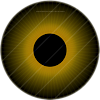 Eye.png